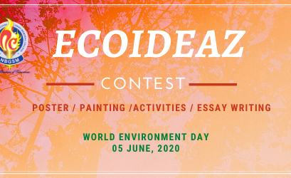 Results of ECOIDEAZ Contest